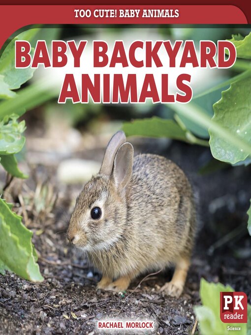 Title details for Baby Backyard Animals by Rachael Morlock - Available